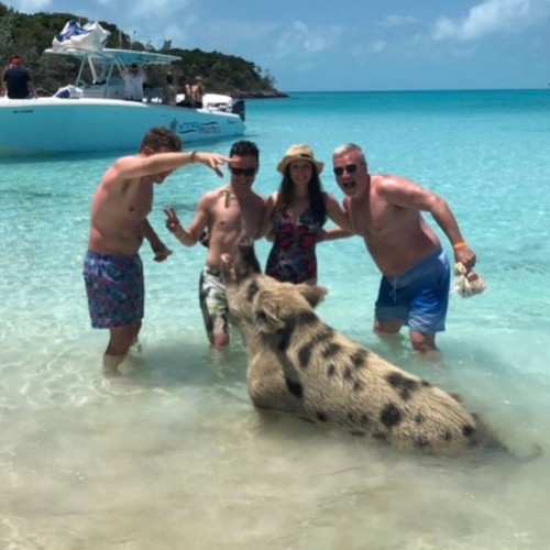 Swimming with wild pigs in the Bahamas!
