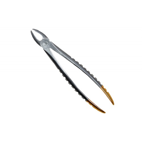 Fig. 1. Upper Incisors and cuspids Diamond Tip 525-1