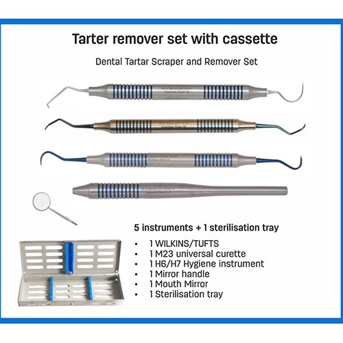 Tartar remover set with cassette