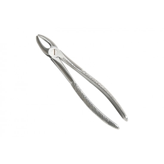 Fig. 1. Upper Incisors and cuspids