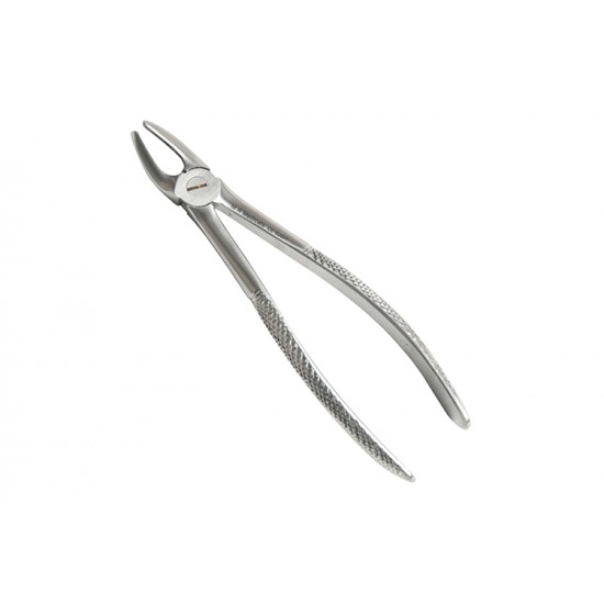 Fig. 7. Upper premolars