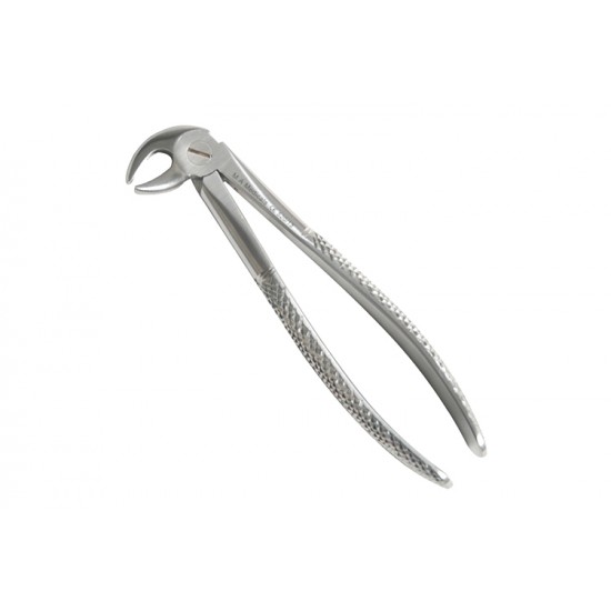 Fig. 13. Lower cuspids and premolars