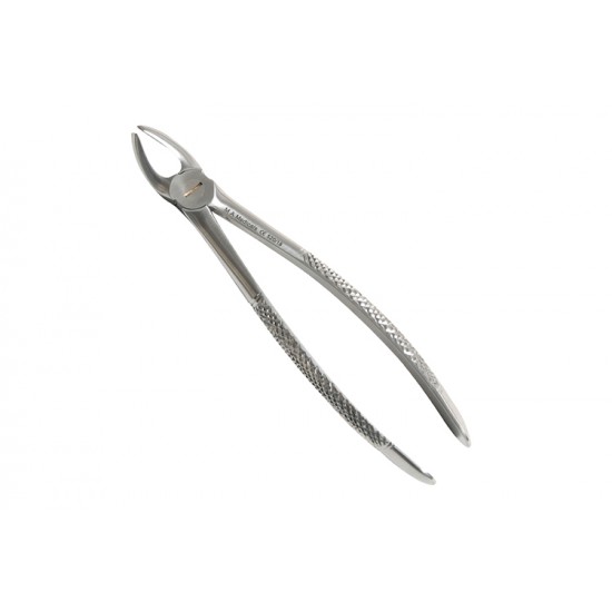 Fig. 18 Upper molars, left