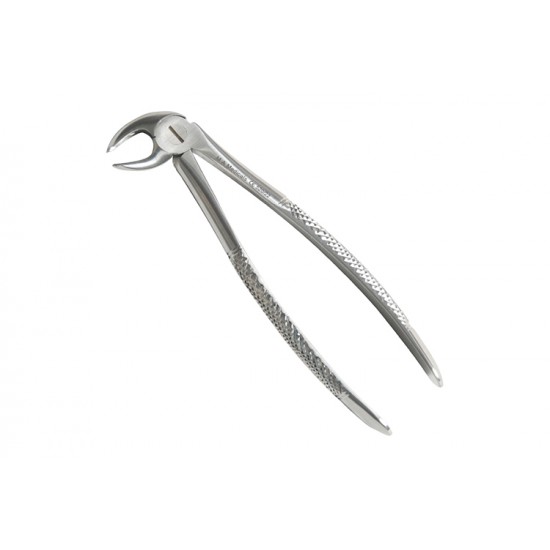 Fig. 22. Lower molars