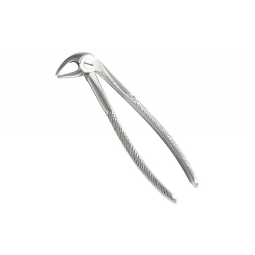 Fig. 33A. Lower incisors, premolars and roots