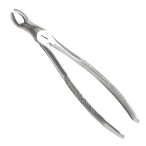 Fig. 67A. Upper molars - For Upper wisdom teeth