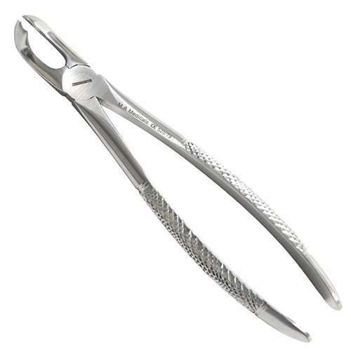 Fig. 79. Lower wisdom teeths