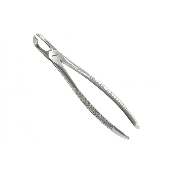 Fig. 79. Lower wisdom teeths