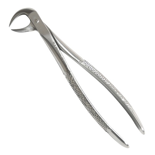 Fig. 86A. Lower molars