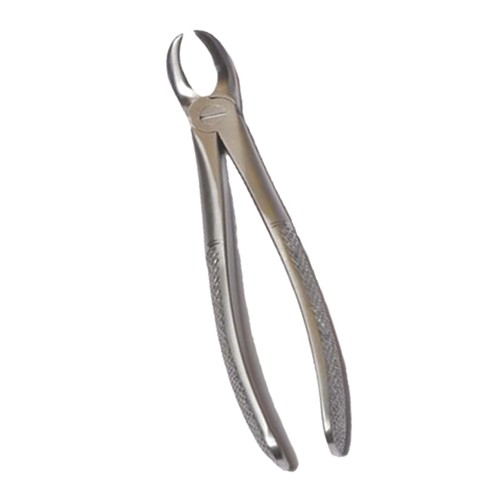 Fig. 87 Lower molars