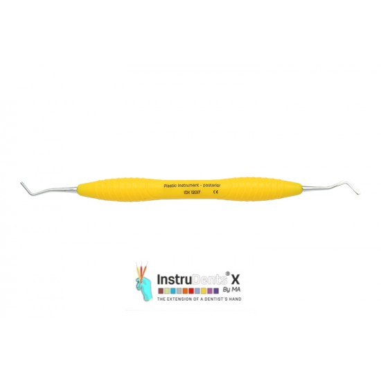 Plastic Instrument (Posterior)