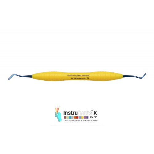 Plastic Instrument (Posterior)