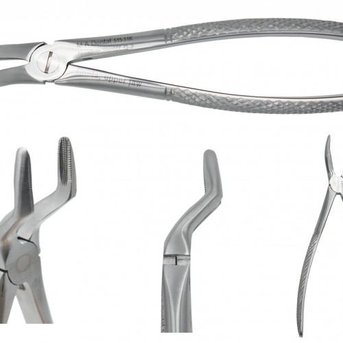 Roots, upper jaw JUNIOR 515-51k