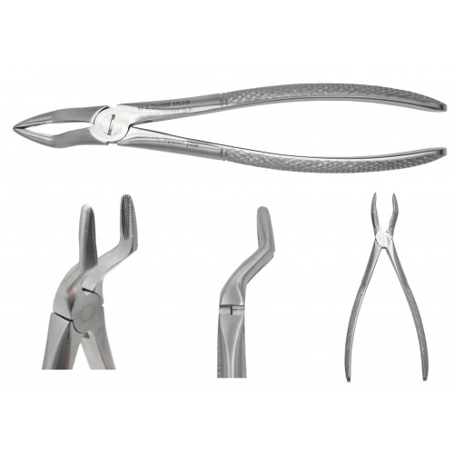 Roots, upper jaw JUNIOR 515-51k