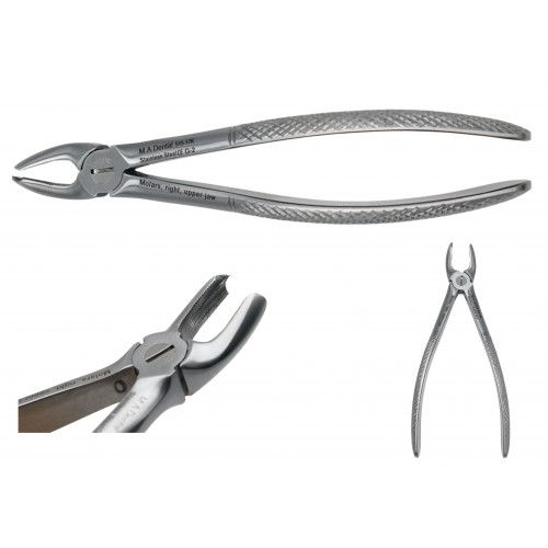 Molars, right, upper jaw JUNIOR 515-17k