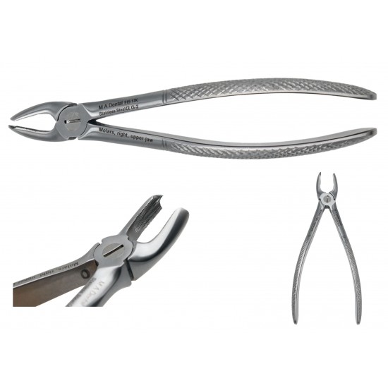 Molars, right, upper jaw JUNIOR 515-17k