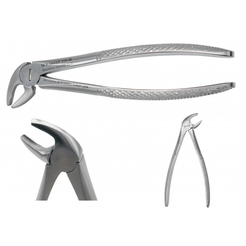 Incisors & Canins, lower jaw JUNIOR 515-38