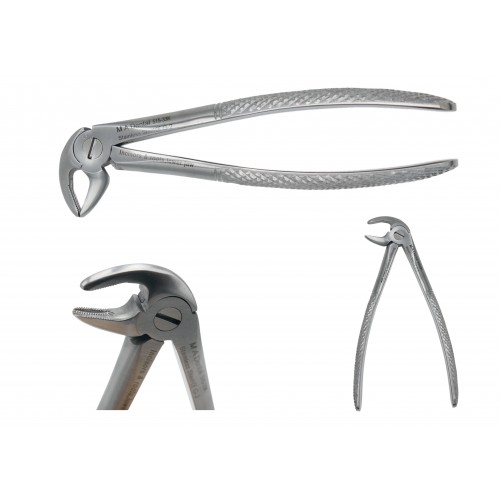 Incisors & roots, lower jaw JUNIOR 515-33k