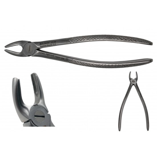 Molars, right + left, upper jaw JUNIOR 515-39