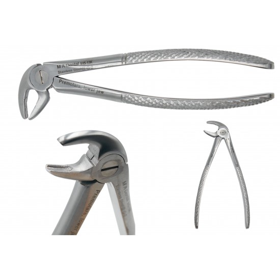 Premolars, lower jaw JUNIOR 515-13k
