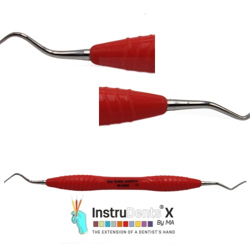Hoe Scaler (Posterior) 13056